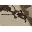 Hand Knotted Wool Area Rug