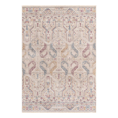 Volfango Oriental Indoor Rug