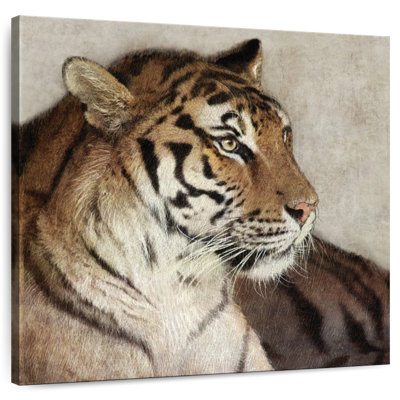 Brampt Tiger Poise