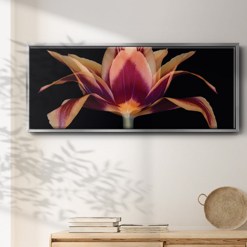 Tulipe rouge - toile encadrée, H 20 po x l 50 po