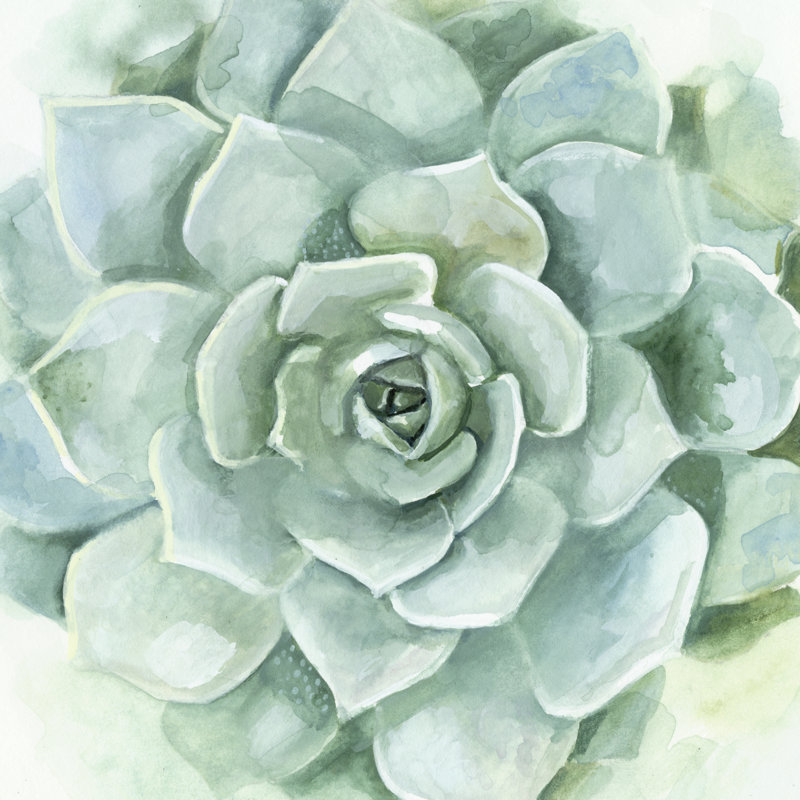 «Verdant Succulent I», peinture sur toile, H 12 po x l 12 po