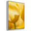 " Sunshine Yellow II " 3 - Pieces-1262595115-1262595114