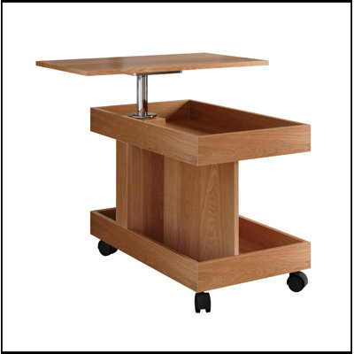 Shreya with Wheels and Rotating Desktop