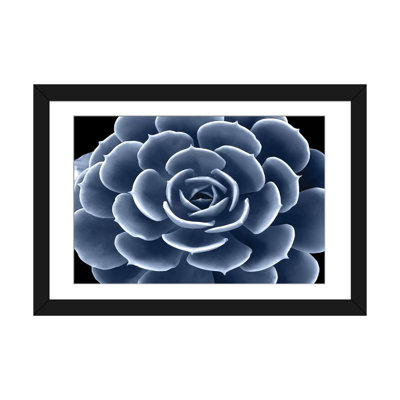 «Succulent IV», impression sur toile