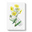 Yellow Daisies - Wrapped Canvas Painting-55320018