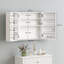 W H Medicine Cabinet Mirror