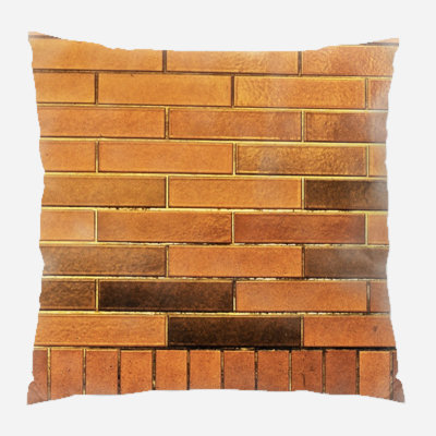 Facade Throw Pillow