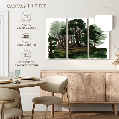 Cèdres libanais