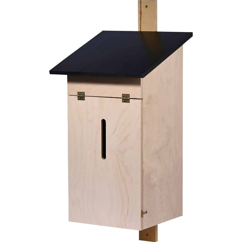 Mikes Mounted Bird House