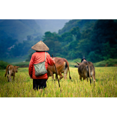 Shepherd by Pirjek - Wrapped Canvas Print