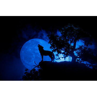 Howling Wolf - Photographie sur toile tendue