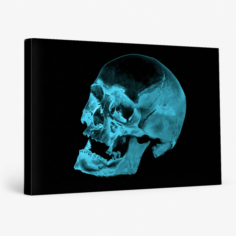 Cyan Skull Study - Paysage, art mural sur toile, 36" W x 24" H