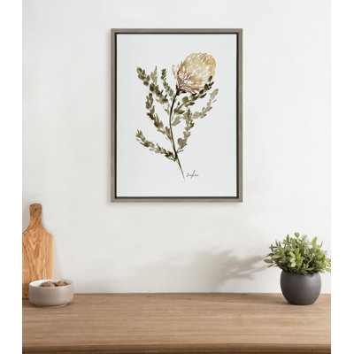 «Wild Banksia» par Sara Berrenson, reproduction d'art sur toile encadrée