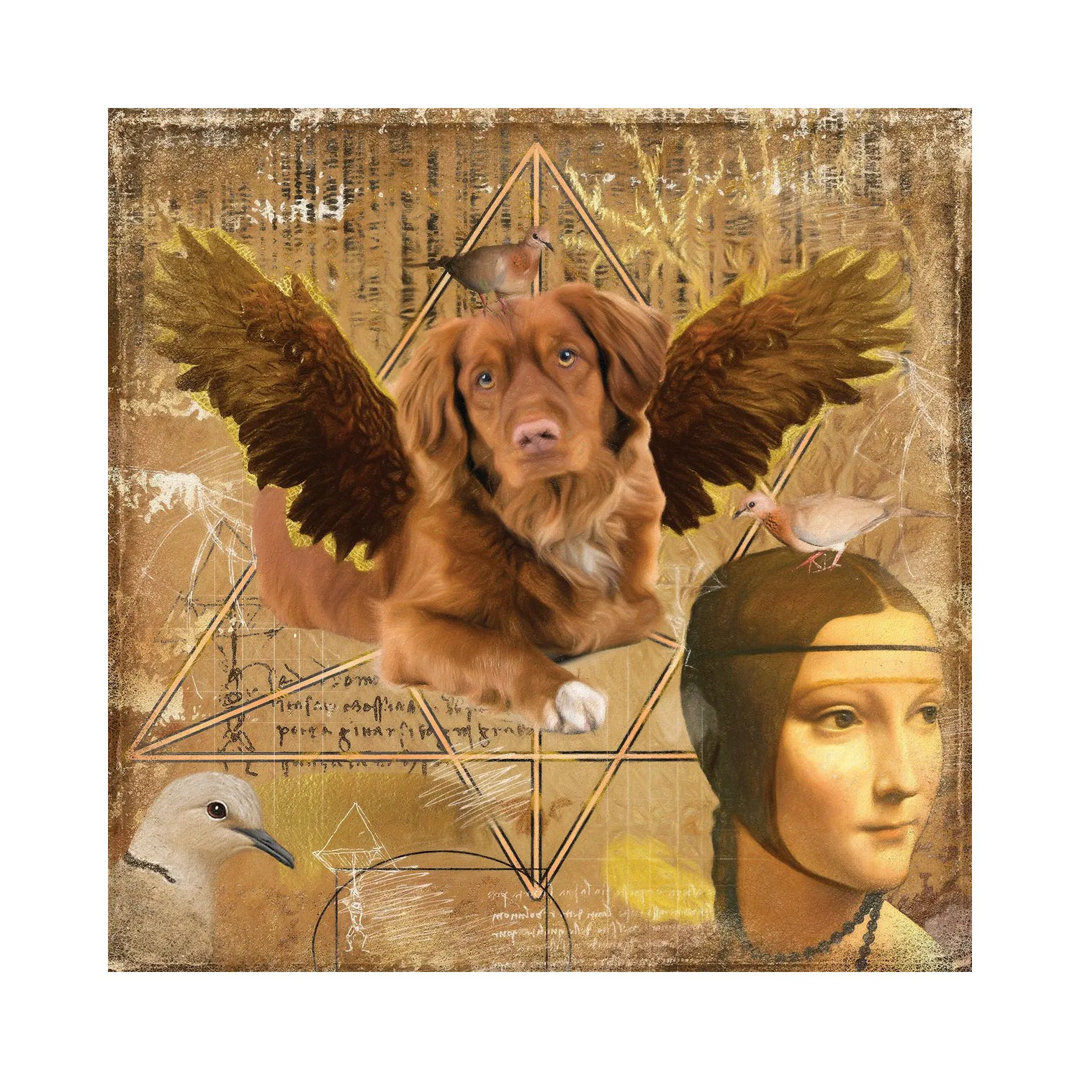 Nova Scotia Duck Tolling Retriever Angel