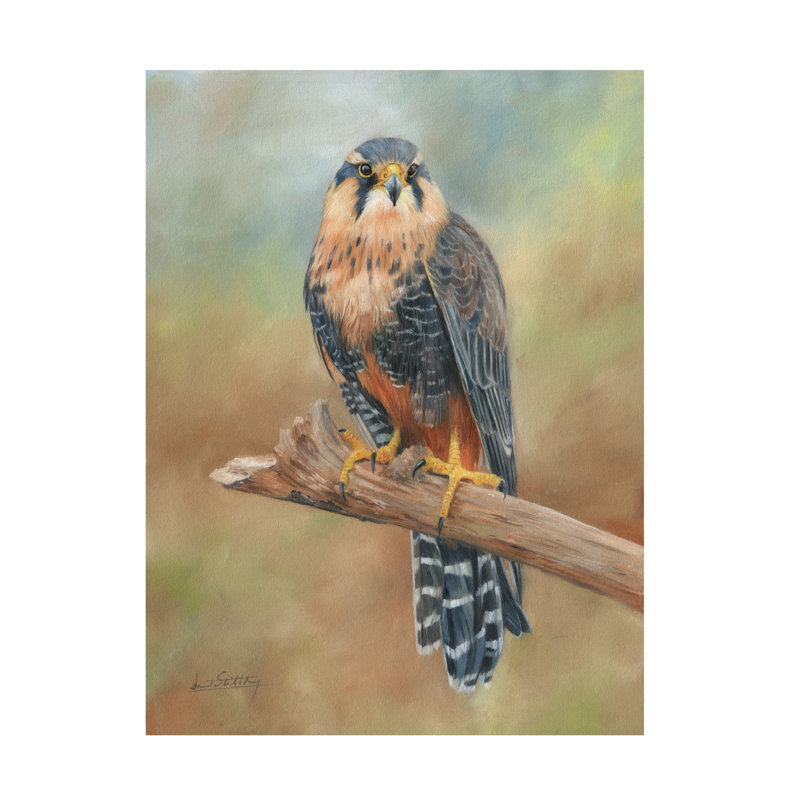 Art sur toile, fauve bolivien, David, H 18 po x l 24 po
