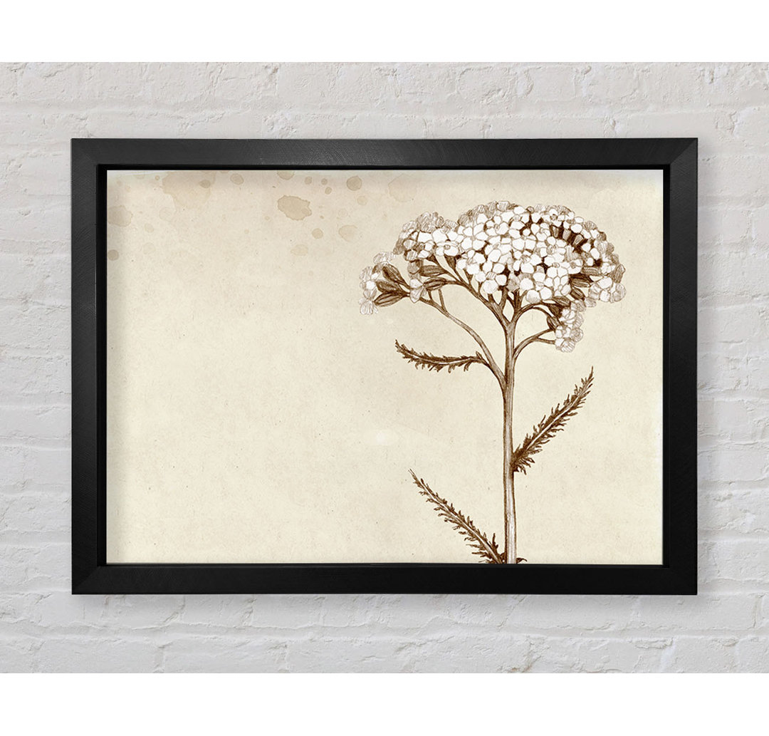 Floral Beauty Sepia - Druck