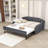 Nollet Full / Double Daybed with Trundle