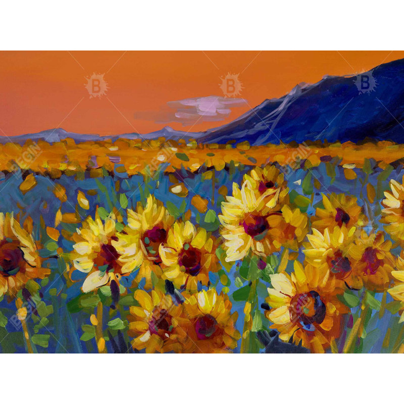 Ensemble de 4 napperons Field of Sunflowers