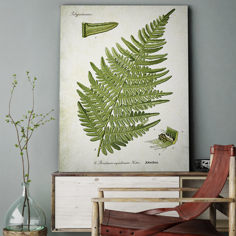 «Botanical Plate XXII», reproduction d'impression sur toile tendue, H 24 po x l 36 po x P 1,5 po