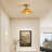 1-Light Brass Flush Mount Ceiling Light, Dimmable, E26 Base, Amber Glass Shade, ETL Certified-62591621