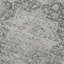 Dazzle Floral Area Rug in White-1377099550
