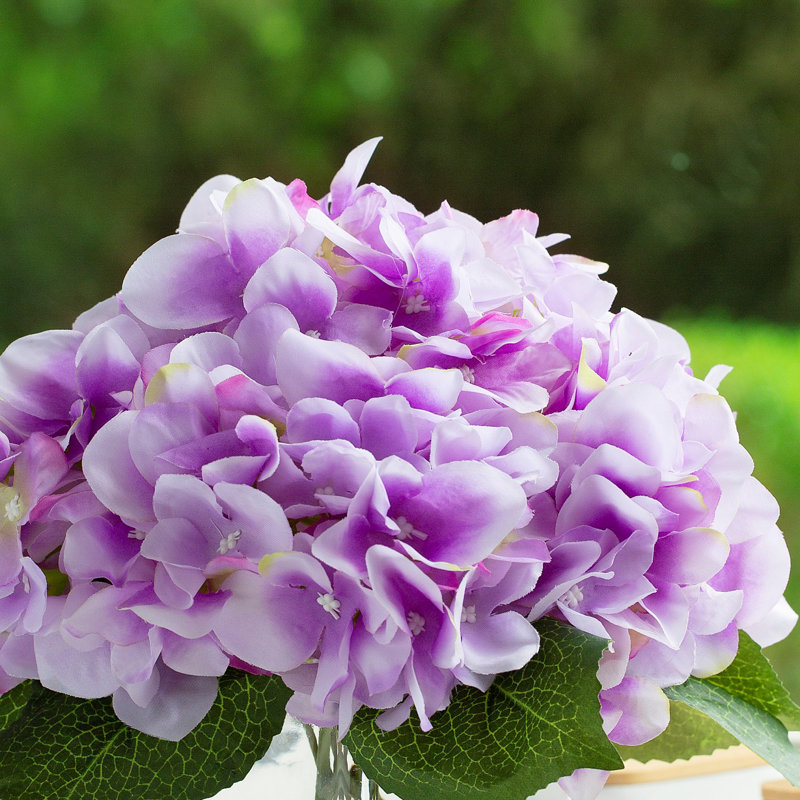 Arrangement d'hortensias dans un vase, Mauve clair
