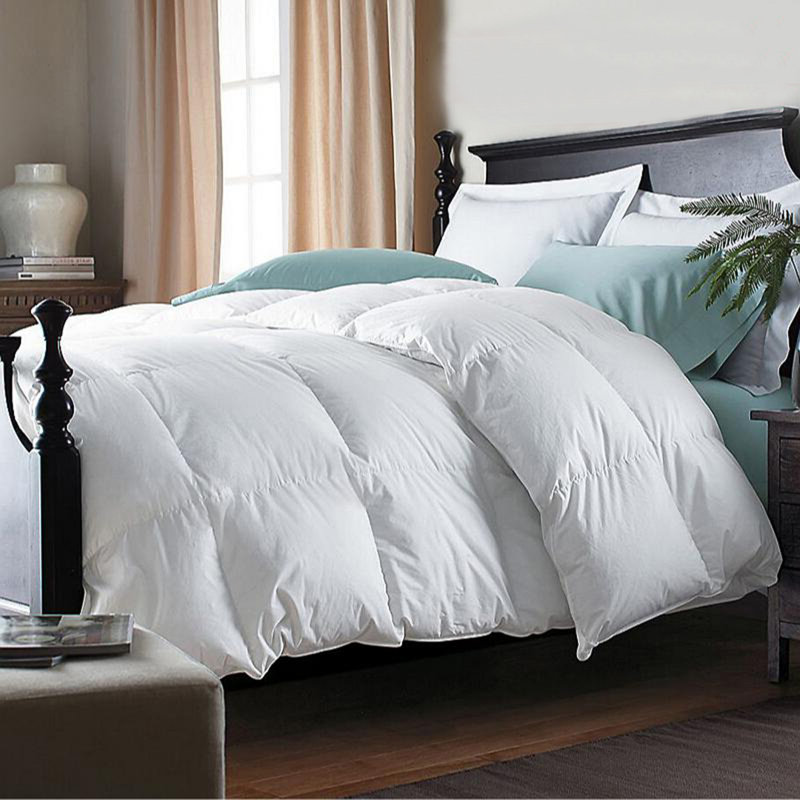  All Season Down & Feather Blend Comforter 100% Cotton White Duvet Insert, King