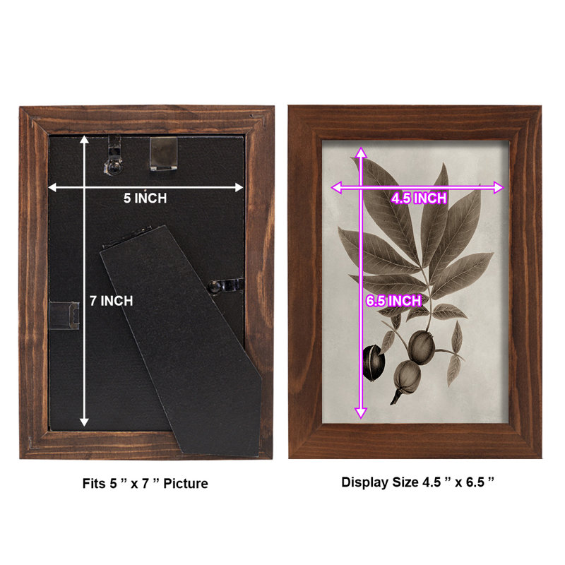Arbor Speciment VI - Impression encadrée avec verre, H 6 po x l 4 po x P 1 po, Châtaigne