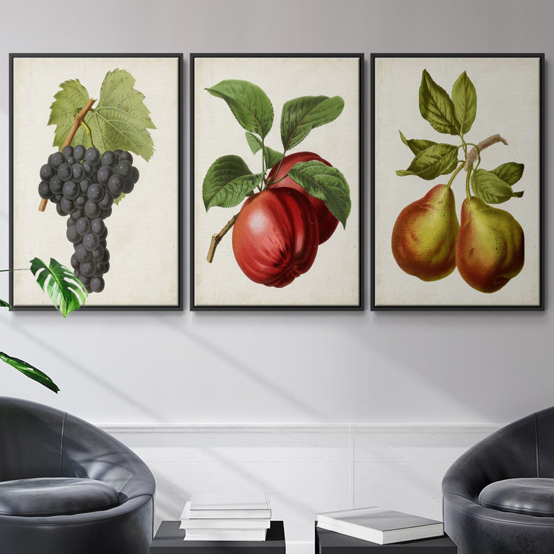Antique Fruit VFramed, ensemble de 3 toiles tendues, Noir, H 36 po x l 72 po