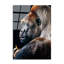 Boze Wall Decor