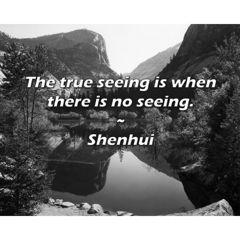 Artsy Quote "The true seeing is when there is no seeing." By Shenhui Gallery Wrapped Canvas