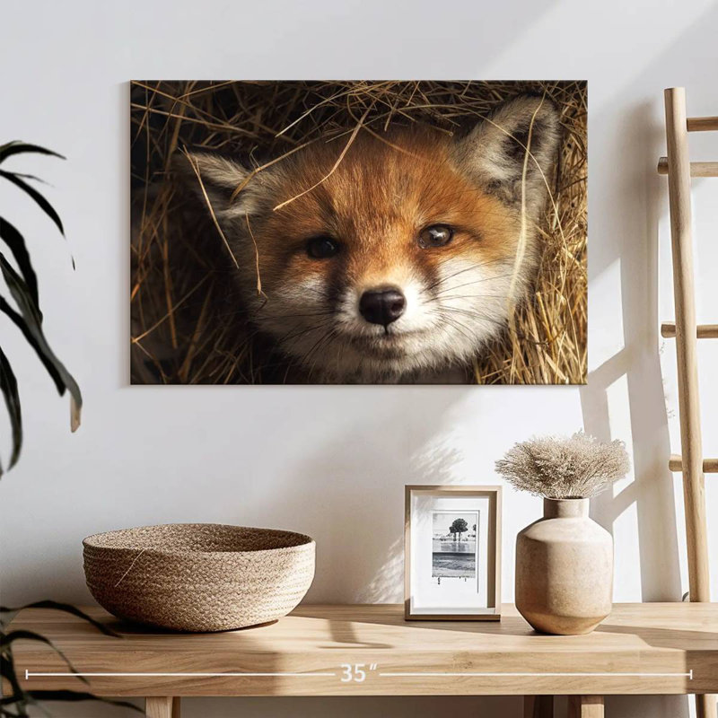 Renard coucou, H 16 po x l 24 po