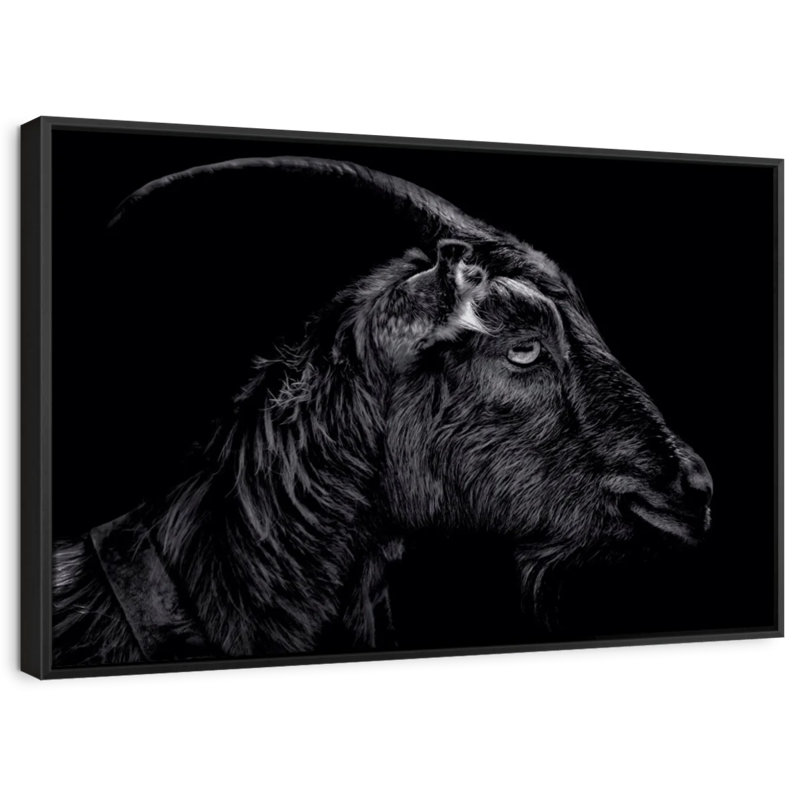 «Animal», impression sur toile «Chèvre cornue», H 9 po x l 13 po