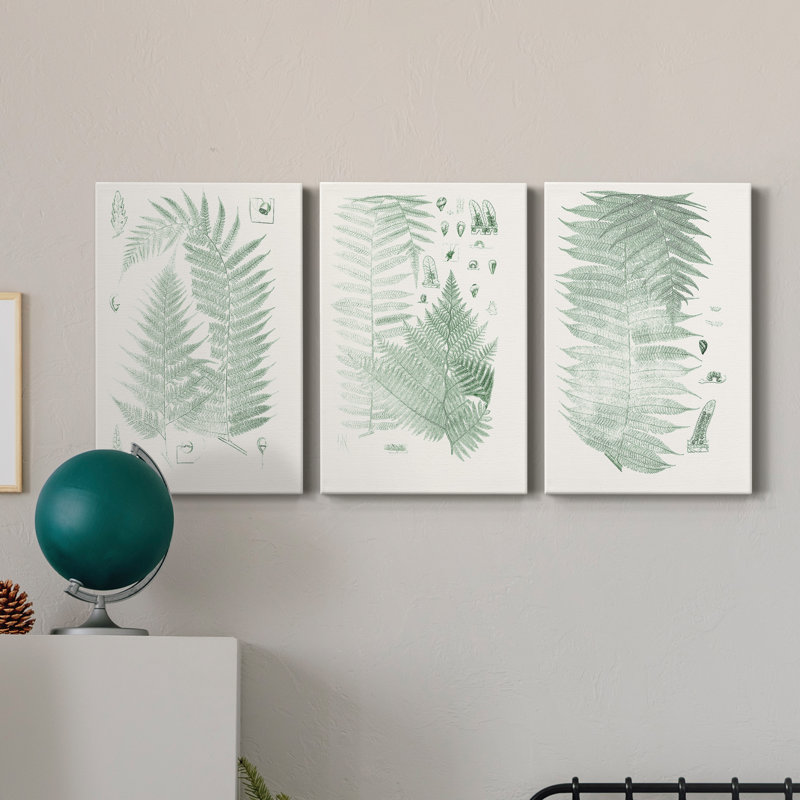Verdure Ferns IV - ensemble de 3 peintures sur toile tendue, H 12 po x l 24 po x P 1 po
