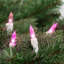 0.3'' String Lights-2145728756-2145728717