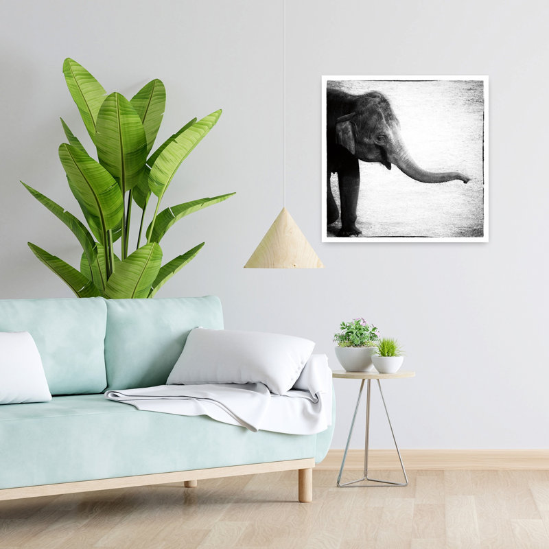 Éléphant II, art contemporain éléphant, H 24 po x l 24 po