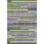 Premium Machine Washable Prisco Cactus Rug-2036898072