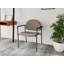 Chaise d'invité Chat Chat-98671299-98882116