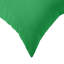 Green Cushion Cover
