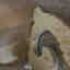Customer photo 3 of 4