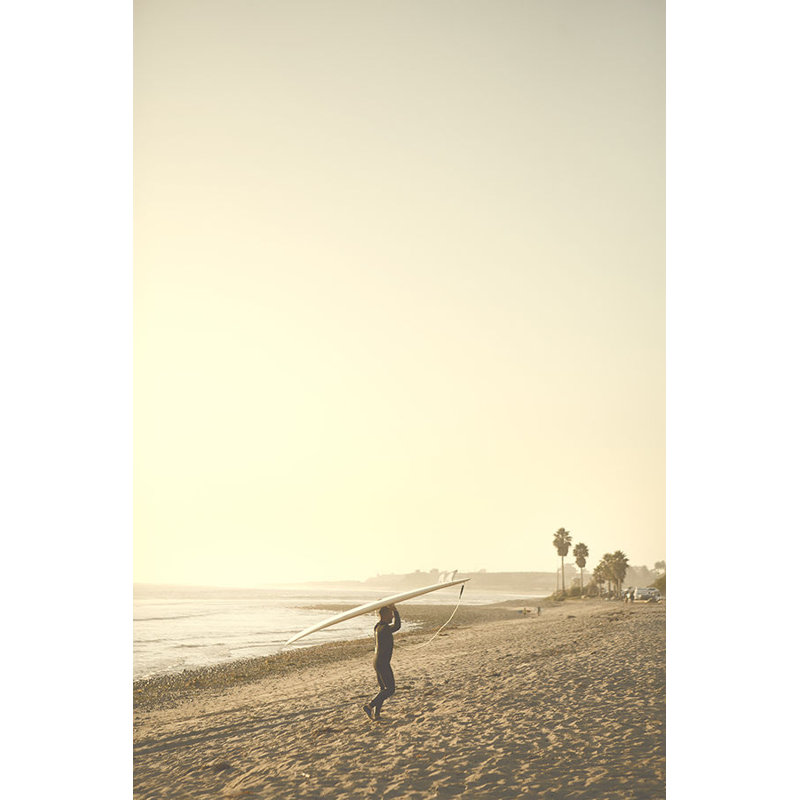 Surfista I Print by Karyn Millet, Image Brush Gel, 37.75" H x 25.75" W 