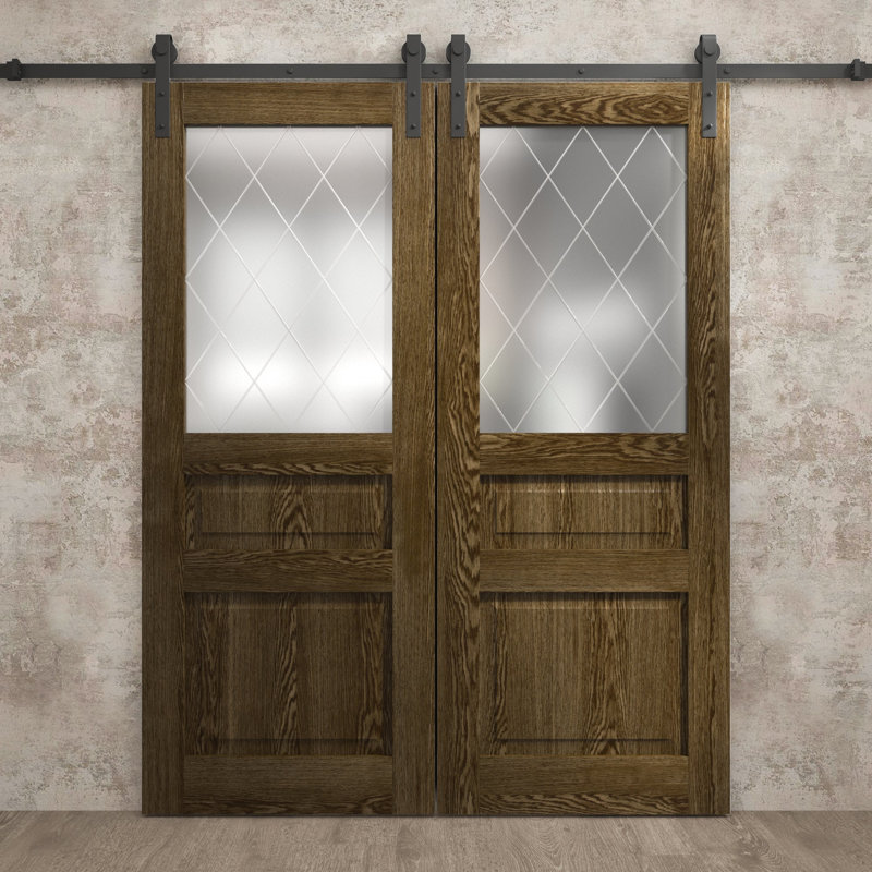 Porte de grange double moderne | Ego 5011 | Ensemble de rail | Portes intérieures solides, Chêne marbré, 60 po x 80 po