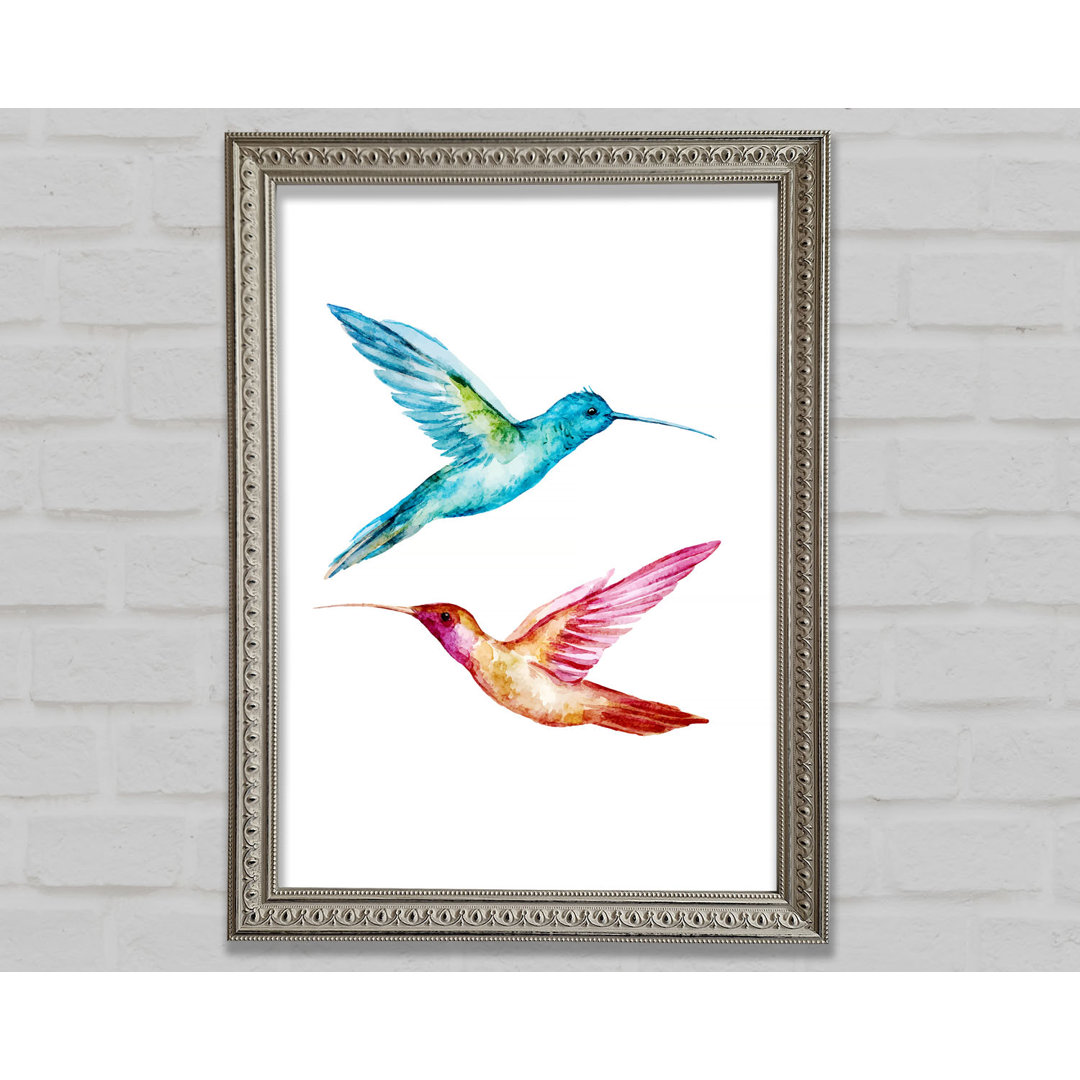 Aleta Hummingbird Duo Gerahmter Druck Wandkunst