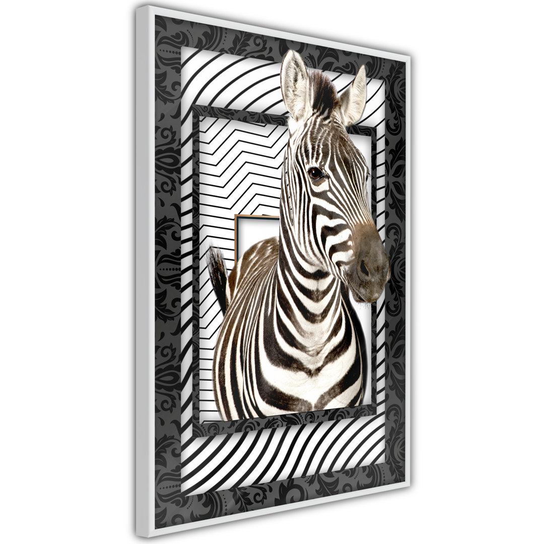 Gerahmtes Poster Zebra in the Frame