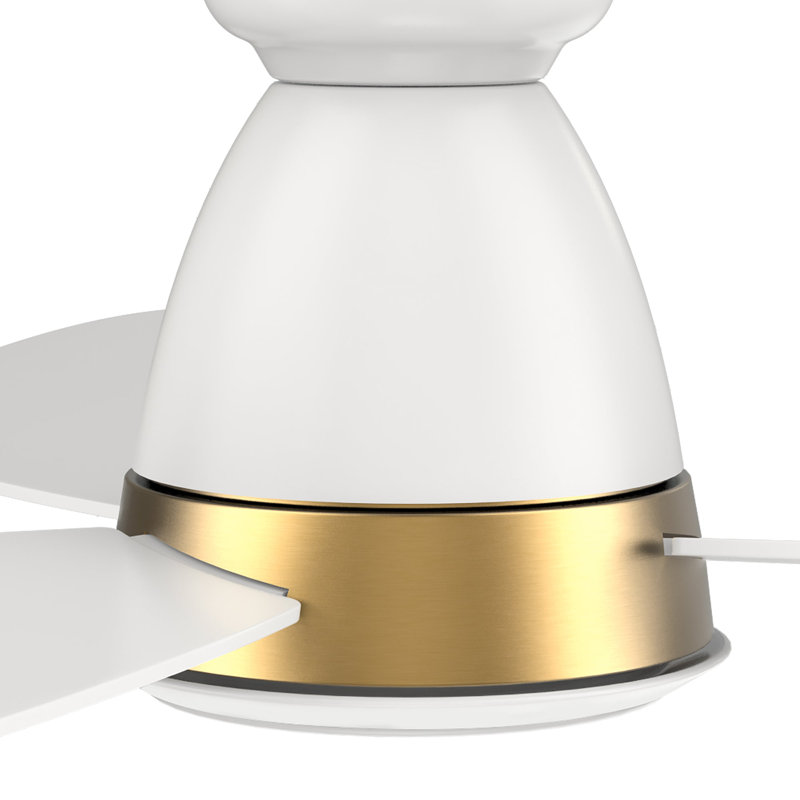 Woodrow 52-inch Smart Ceiling Fan with Remote, Light Kit Included, Works with Google Assistant, Amazon Alexa, and Siri Shortcuts.
