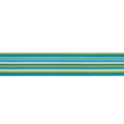 Primavera Tape Wide