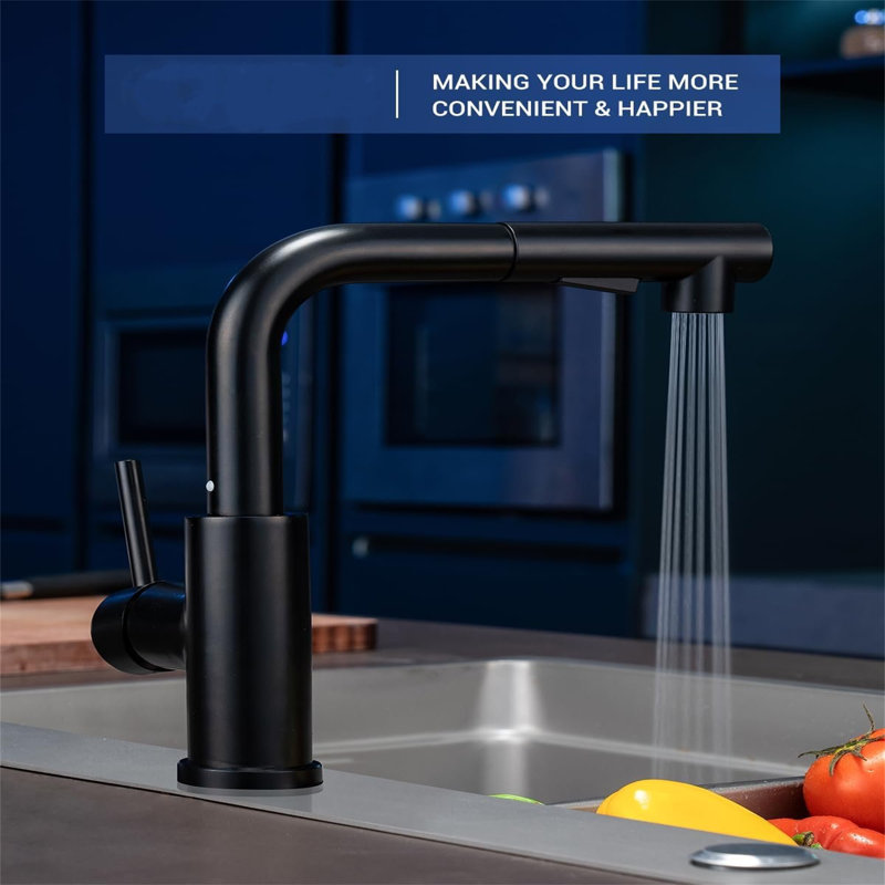Belfry Kitchen Antani Kitchen Faucet