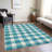 Colzie Flatweave Gingham Indoor / Outdoor Rug-109584057