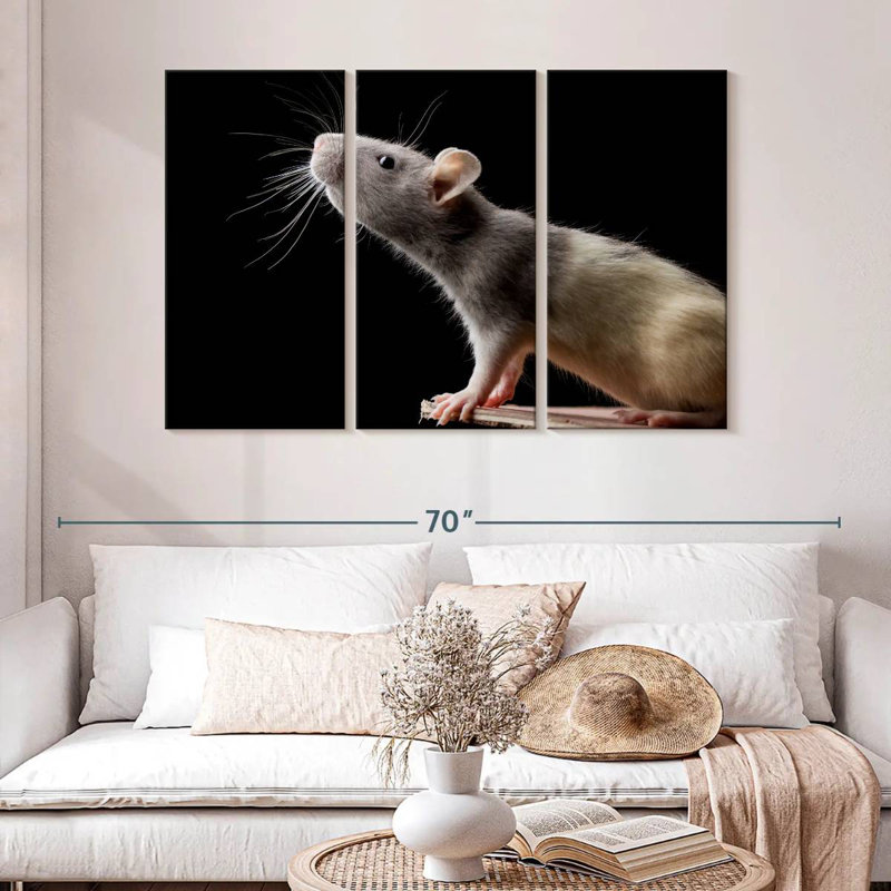 Brampt Rat Close Up, 32" H x 50" W