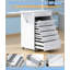 Chariot médical professionnel avec capacité de 150 lb - Chariot roulant pour hôpital, cabinet de dentiste, salon de beauté - Roues verrouillables silencieuses à 360 ° (avec 6 tiroirs / blanc)-125328181